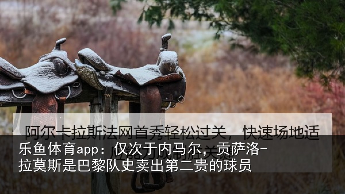 乐鱼体育app:仅次于内马尔,贡萨相关情况二贵的球员